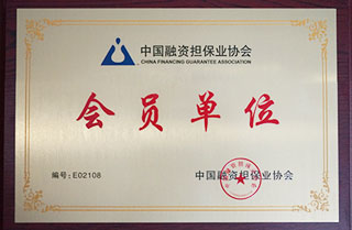 中国融资担保业协会会员单位