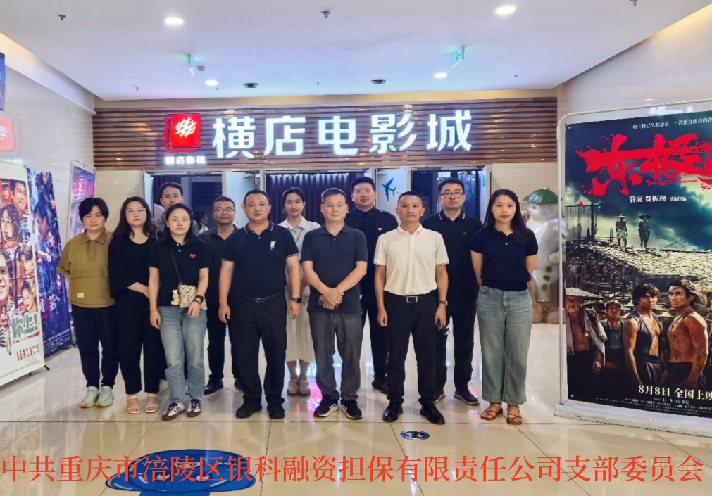 2025年8月11日，tapplay党支部组织全体党员开展8月主题党日活动，集中观看反法西斯战争胜利80周